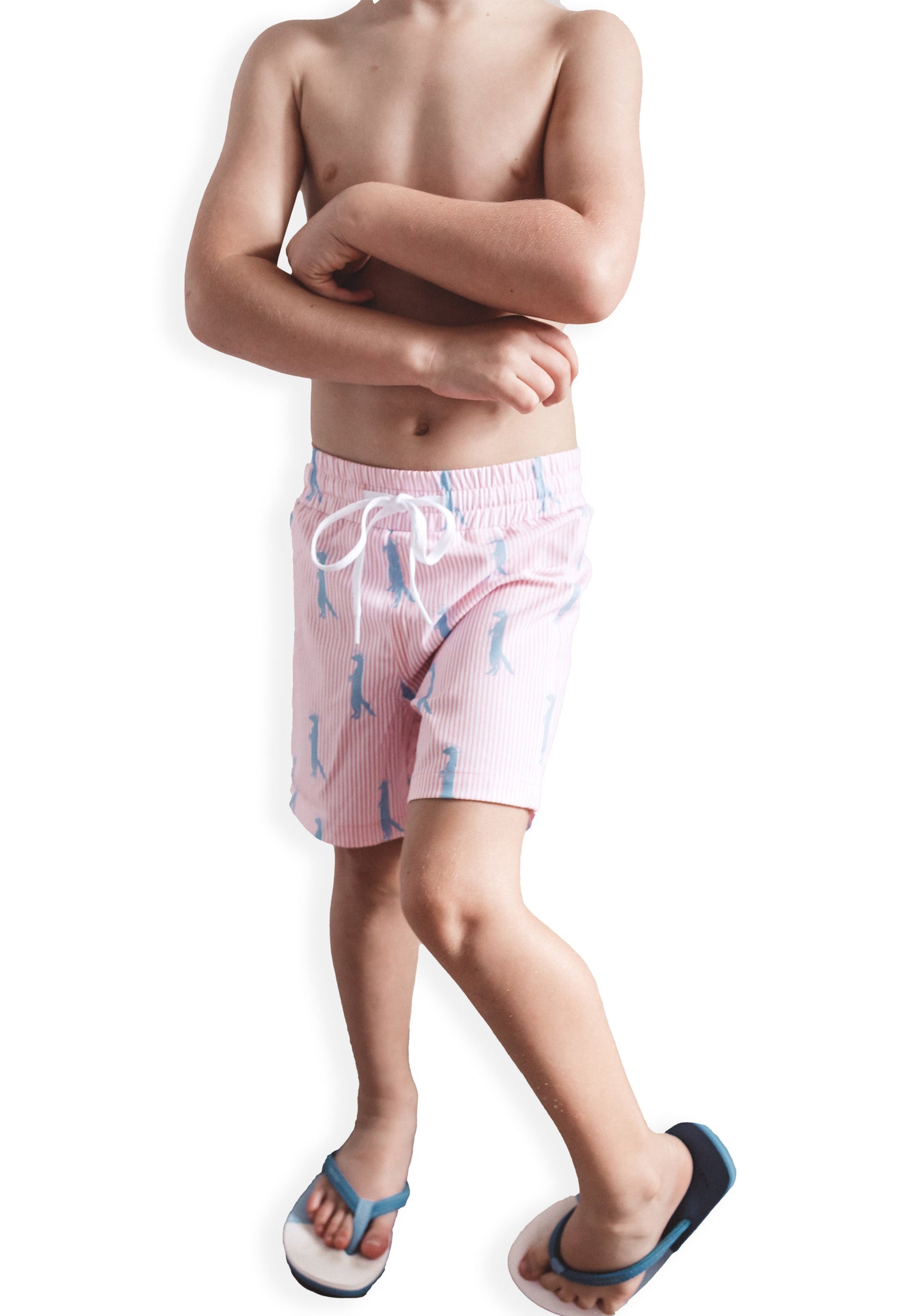 Little Boys Swim Trunks